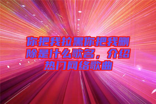 你把我拉黑你把我刪除是什么歌名，介紹熱門網絡歌曲