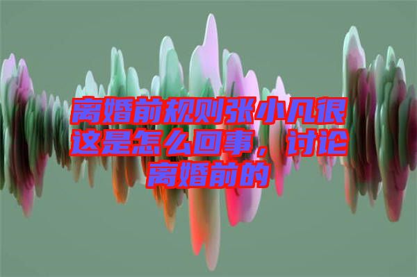 離婚前規則張小凡很這是怎么回事，討論離婚前的