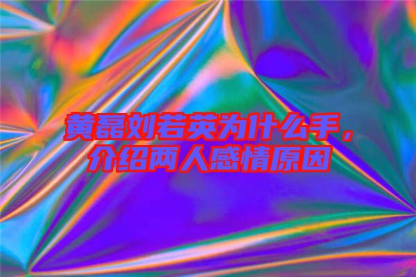 黃磊劉若英為什么手，介紹兩人感情原因