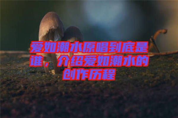 愛如潮水原唱到底是誰，介紹愛如潮水的創作歷程