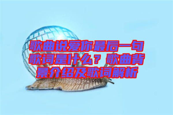 歌曲說愛你最后一句歌詞是什么？歌曲背景介紹及歌詞解析