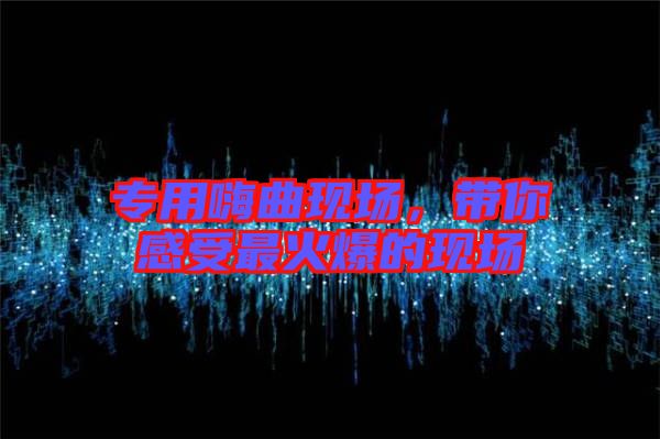 專用嗨曲現(xiàn)場(chǎng)，帶你感受最火爆的現(xiàn)場(chǎng)