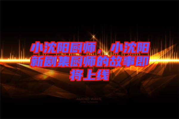 小沈陽廚師，小沈陽新劇集廚師的故事即將上線