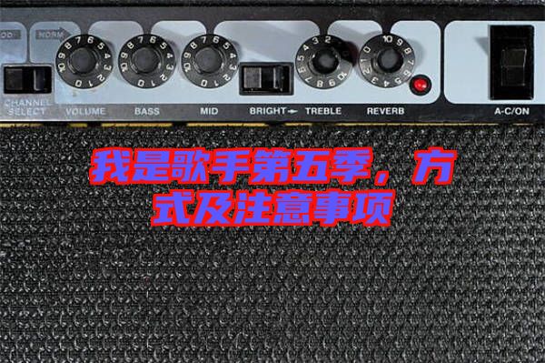 我是歌手第五季，方式及注意事項