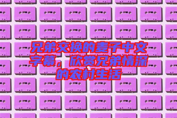 兄弟交換的麥子中文字幕，欣賞兄弟情深的農(nóng)村生活