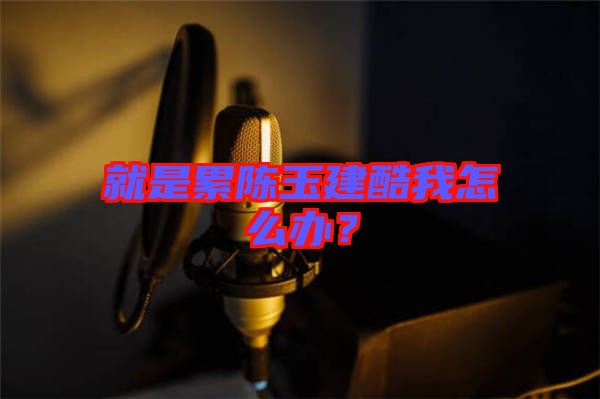 就是累陳玉建酷我怎么辦？