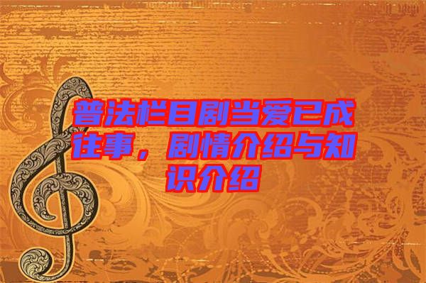 普法欄目劇當(dāng)愛已成往事，劇情介紹與知識介紹