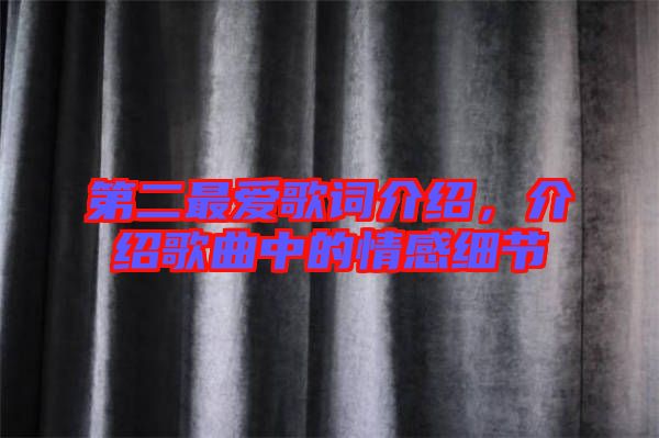 第二最愛歌詞介紹，介紹歌曲中的情感細(xì)節(jié)