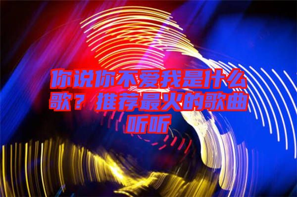 你說你不愛我是什么歌？推薦最火的歌曲聽聽
