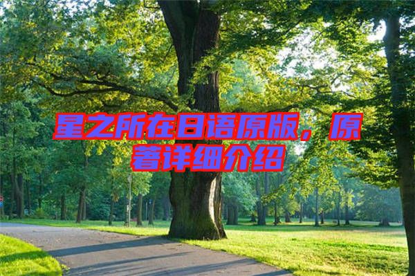 星之所在日語原版，原著詳細介紹