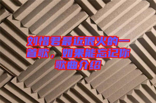 劉惜君最近很火的一首歌，如果能忘記你歌曲介紹