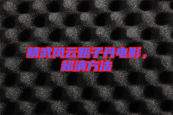 精武風云甄子丹電影，超清方法