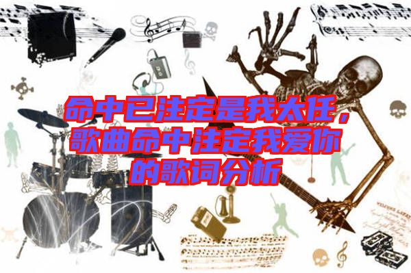 命中已注定是我太任，歌曲命中注定我愛你的歌詞分析