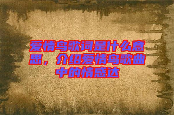 愛情鳥歌詞是什么意思，介紹愛情鳥歌曲中的情感達