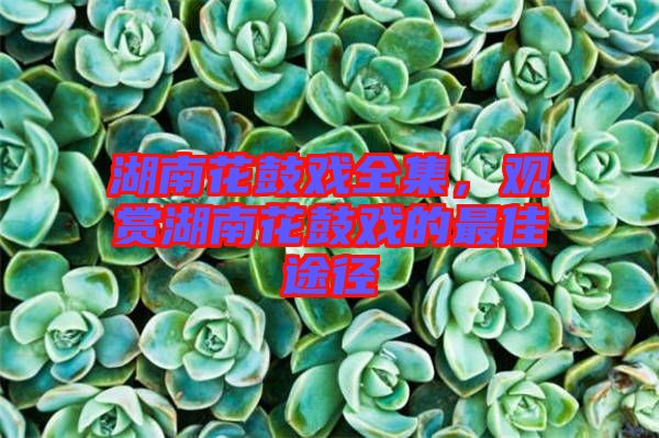 湖南花鼓戲全集，觀賞湖南花鼓戲的最佳途徑