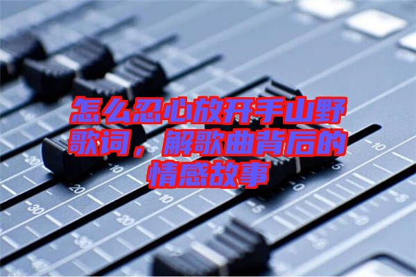 怎么忍心放開手山野歌詞，解歌曲背后的情感故事