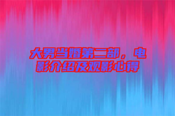大男當婚第二部，電影介紹及觀影心得