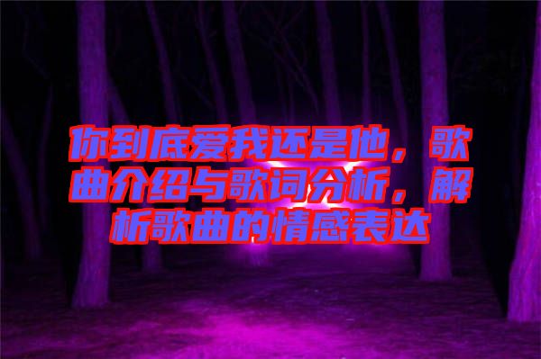 你到底愛我還是他，歌曲介紹與歌詞分析，解析歌曲的情感表達(dá)