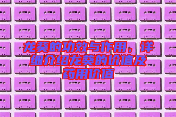 龍葵的功效與作用，詳細介紹龍葵的價值及藥用價值