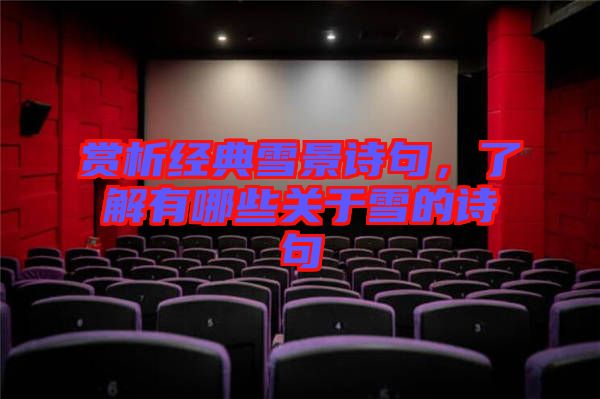 賞析經典雪景詩句，了解有哪些關于雪的詩句