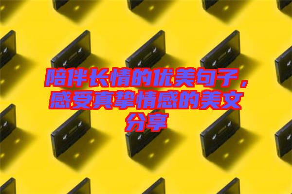 陪伴長情的優美句子，感受真摯情感的美文分享