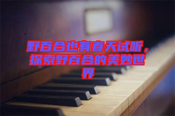 野百合也有春天試聽(tīng)，探索野百合的美妙世界